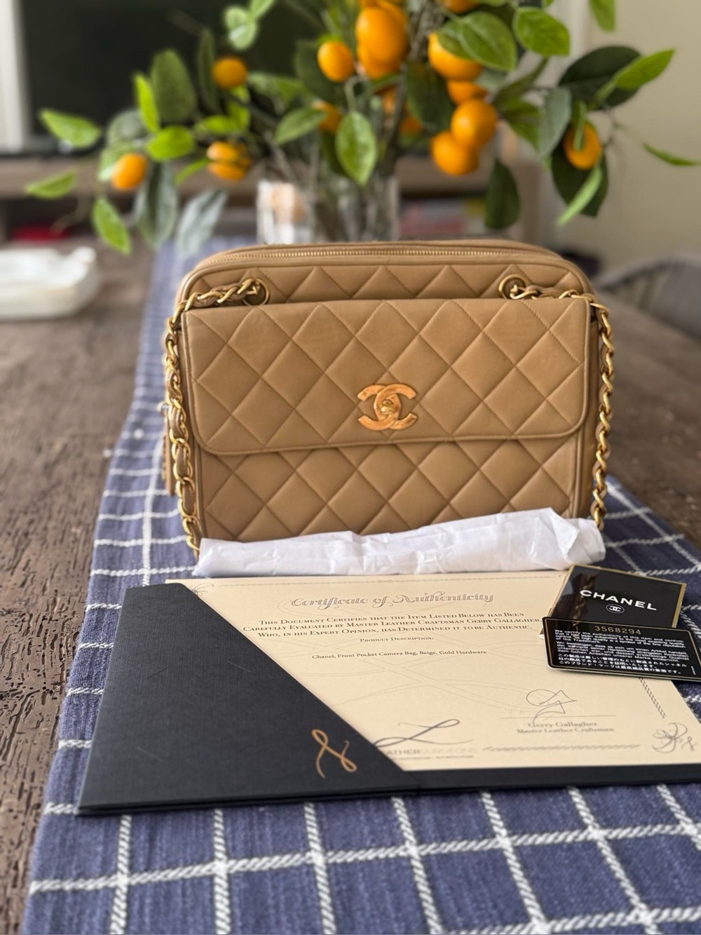 Vintage Chanel camera bag